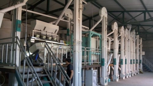 談?wù)勑∶椎臓I養(yǎng)價(jià)值