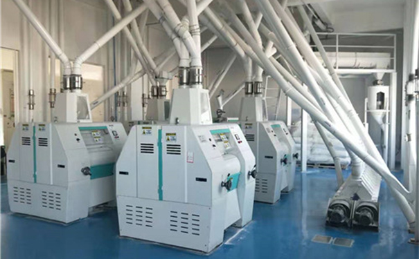 玉米熟粉成套設備實拍圖片