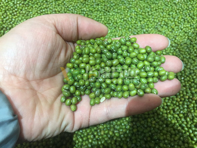 綠豆原糧0 綠豆原糧0