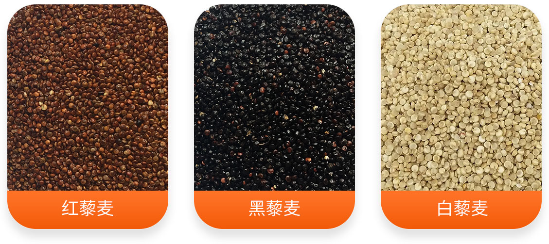 藜麥加工成套設(shè)備產(chǎn)成品圖