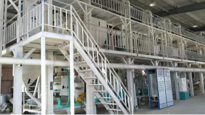 時(shí)處理2噸青稞制米制粉項(xiàng)目新工藝