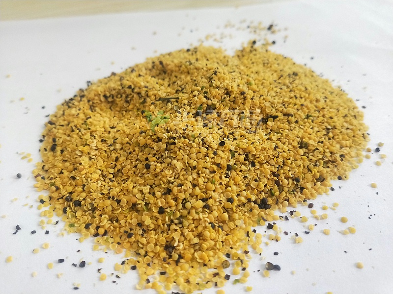 脫皮后的油菜籽 脫皮后的油菜籽