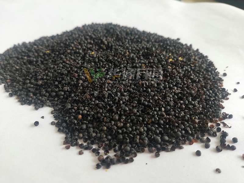 脫掉的皮雜 脫掉的皮雜