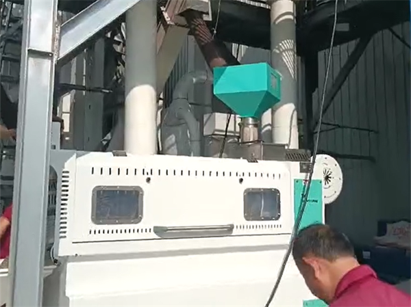 真菌毒素消減設備