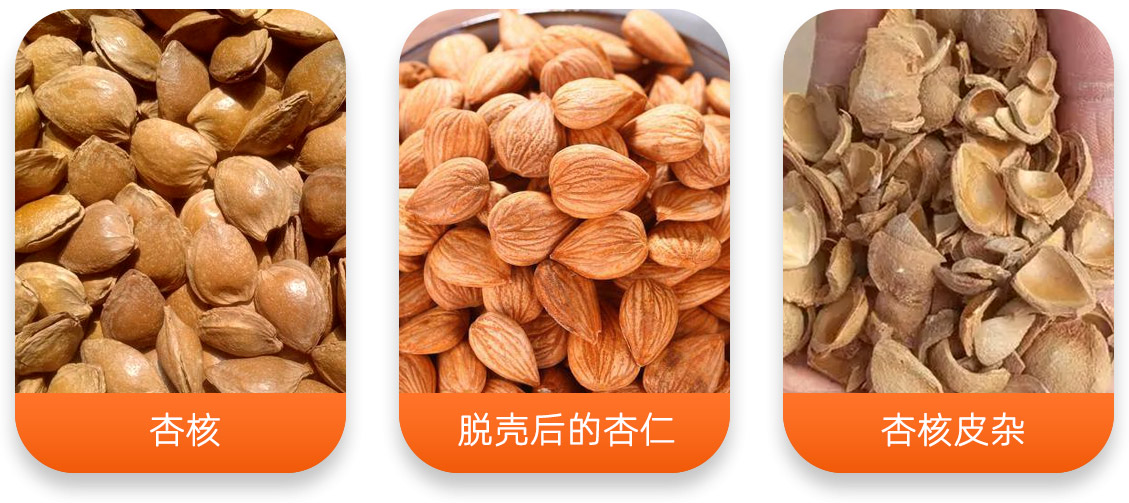 杏核/榛子/巴旦木脫殼成套設(shè)備產(chǎn)成品圖