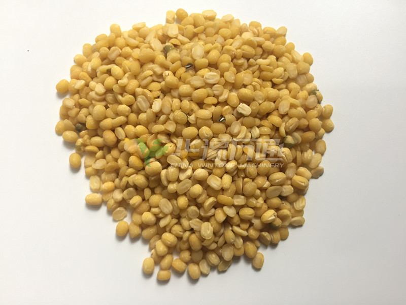 得出成品綠豆仁(18S) 得出成品綠豆仁(18S)