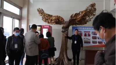 請(qǐng)進(jìn)來(lái) 同學(xué)習(xí) 共發(fā)展