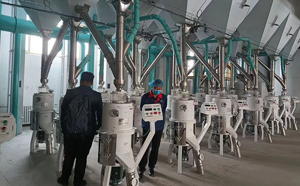 苦蕎茶成套加工設(shè)備實拍圖片