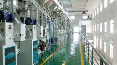 云南地區(qū)藜麥米加工設(shè)備選用哪個(gè)設(shè)備生產(chǎn)廠家？