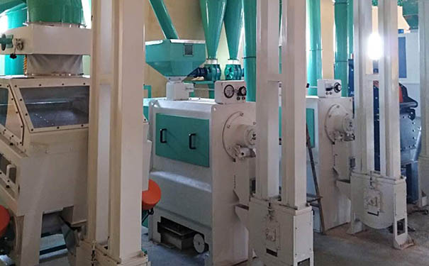 高粱米加工成套設(shè)備實(shí)拍圖片