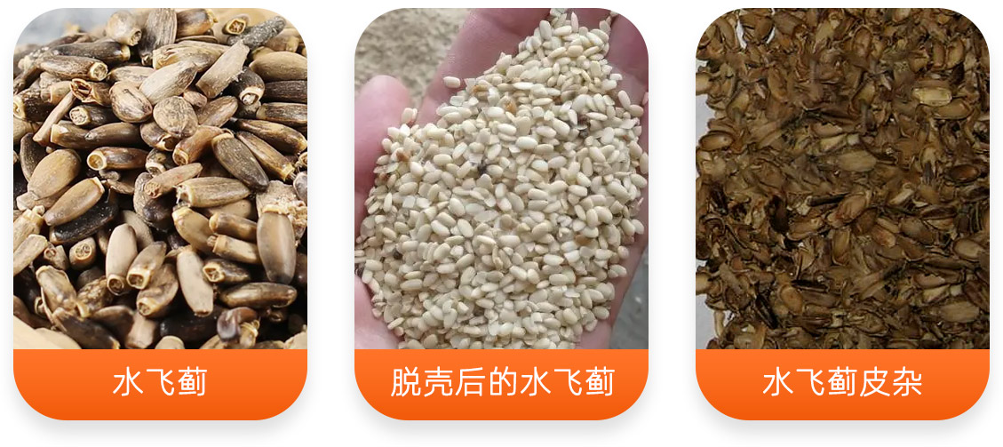 水飛薊脫殼成套設備產(chǎn)成品圖