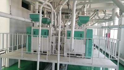 10萬噸豌豆加工設備助力企業(yè)大發(fā)展