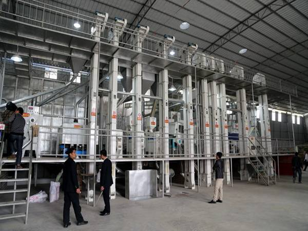 藜麥加工生產(chǎn)線(xiàn)實(shí)拍圖片