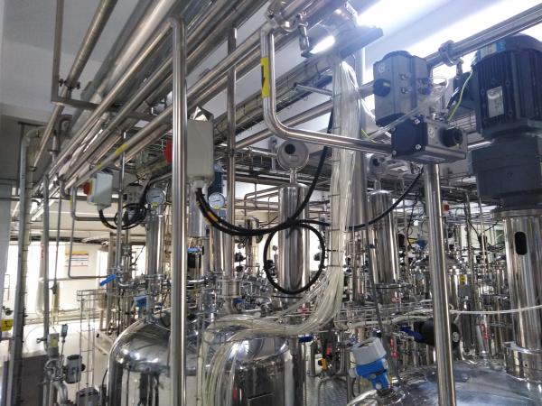 低脂玉米粉制糖,玉米制糖,玉米制葡萄糖